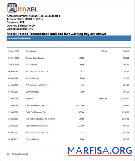 Printable Pakistan Myabl account statement word download for verification